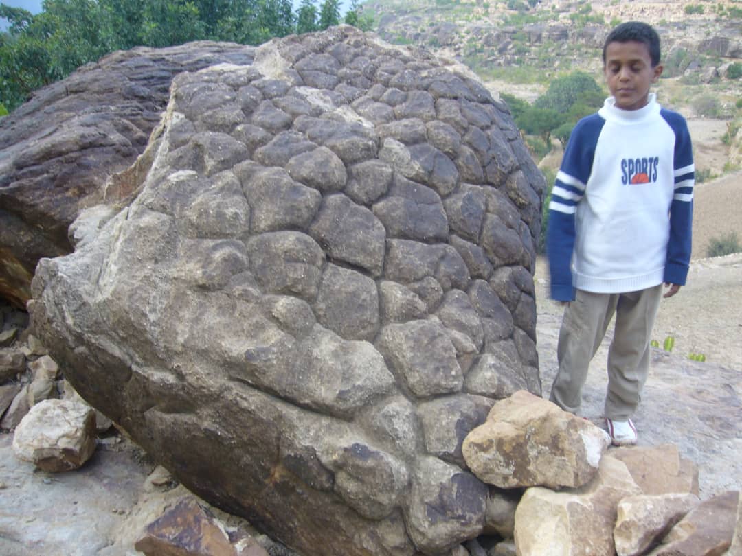 الاكاحلة - لحج