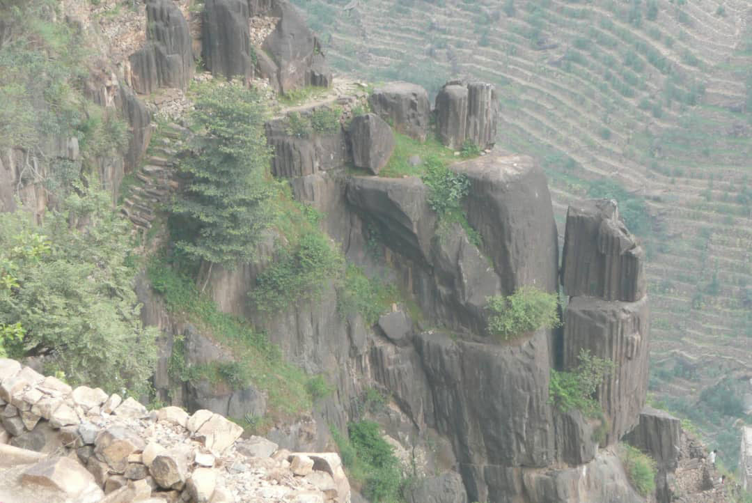 الجعفرية - ريمة